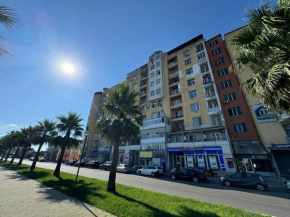 Big bright apartment on Palms street